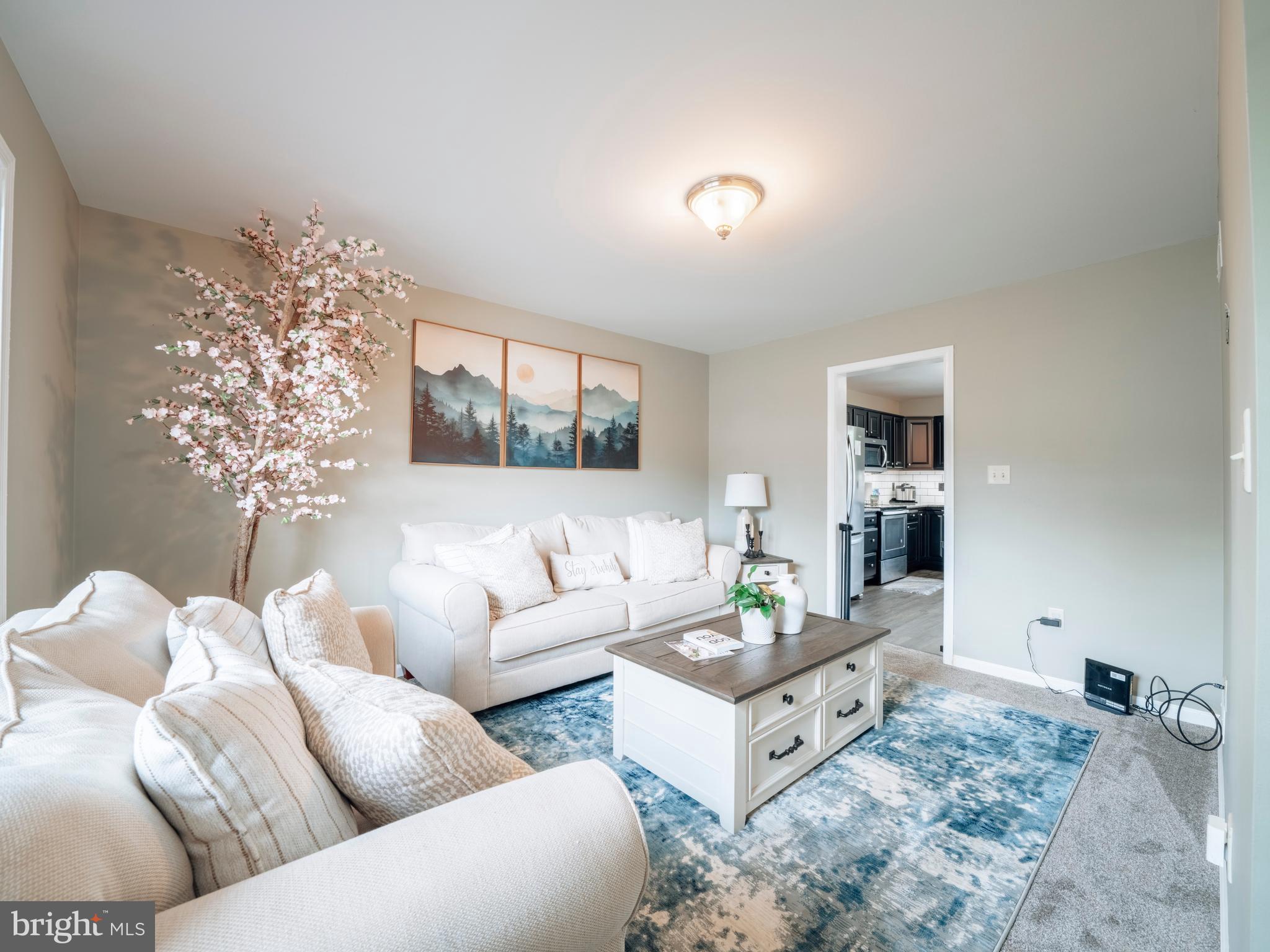 13 CARRIAGE DRIVE