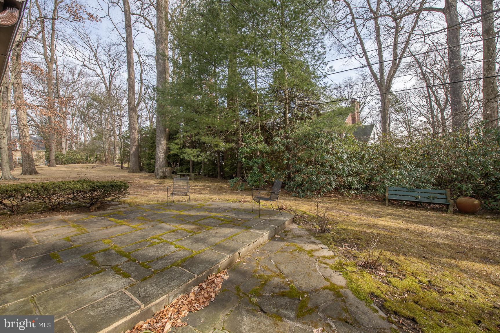 ELKINS PARK - Residential