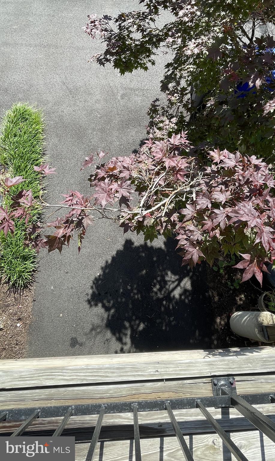 OLD TOWN GREENS - Residential Lease