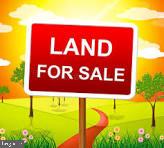 2016 BIRCHWOOD AVE, WOODBURY, NJ 08096 - Image 28d5316b94142ffdf4b9bc4e0eff4992/2700818298