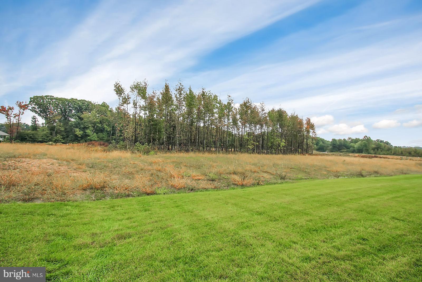 THE RESIDENCES AT BULLE ROCK SINGLES - Residential