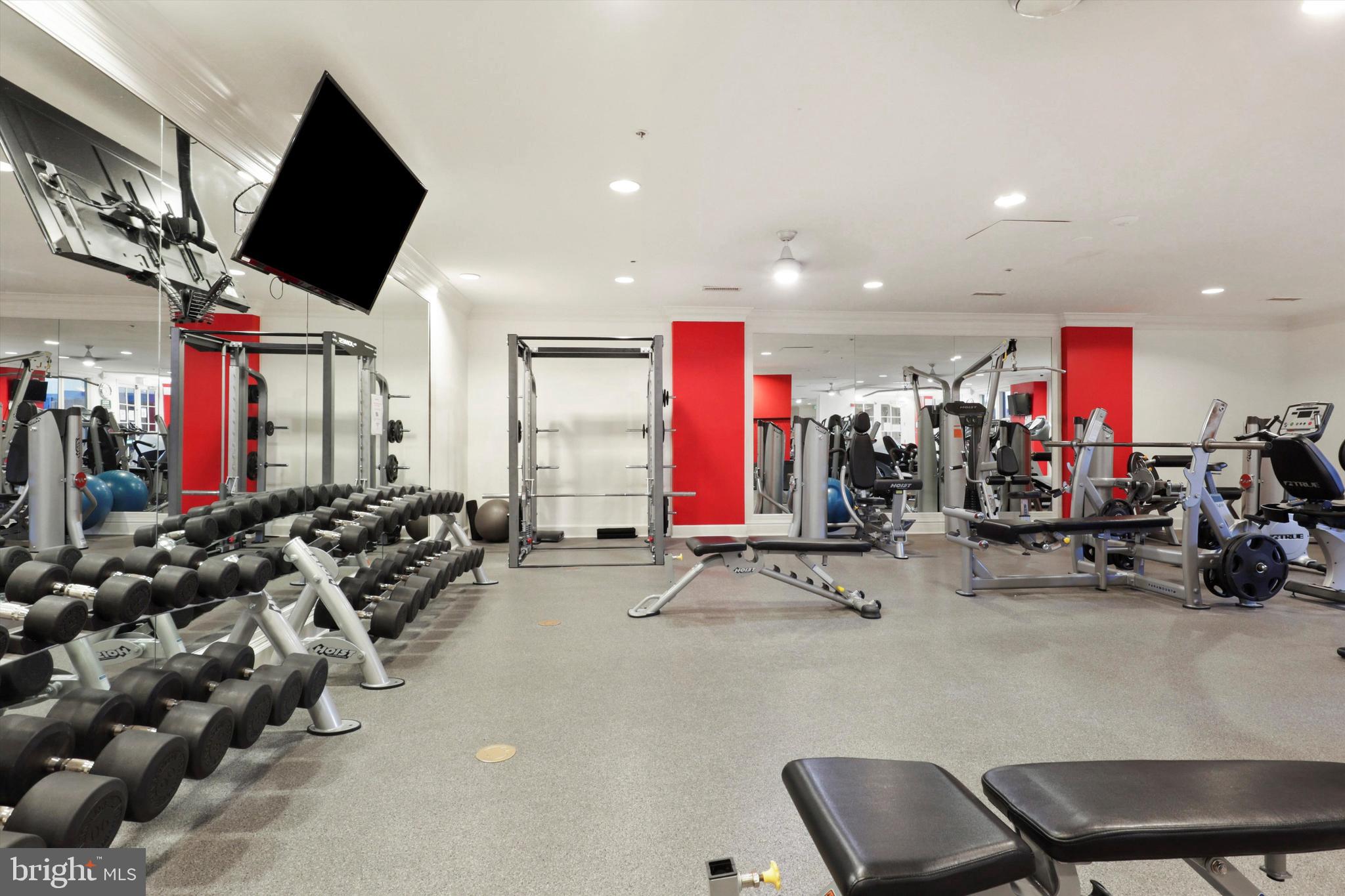 HALSTEAD AT THE METRO - Residential