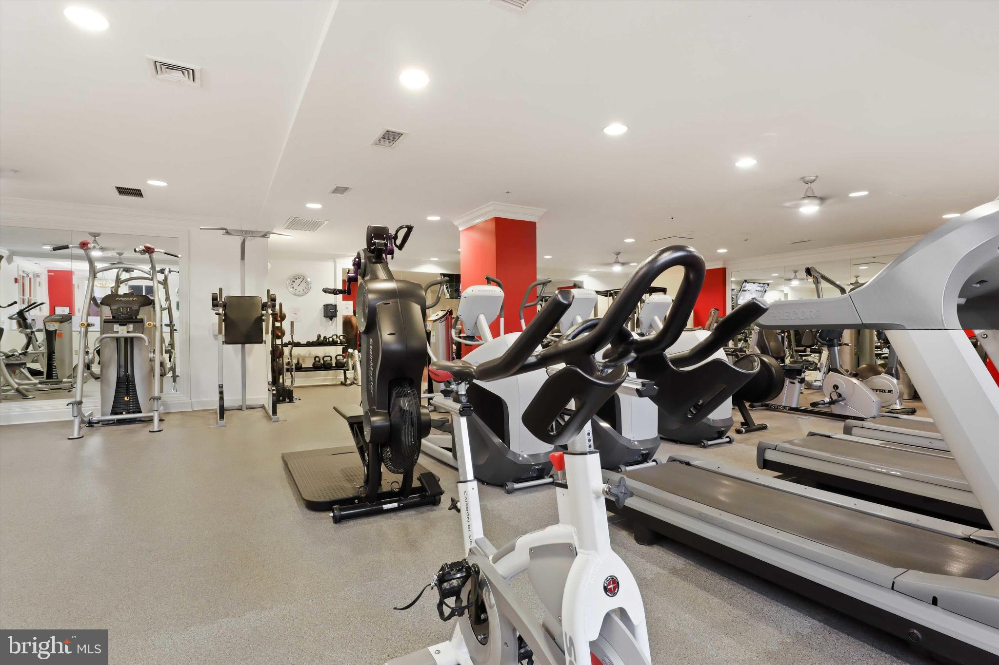 HALSTEAD AT THE METRO - Residential