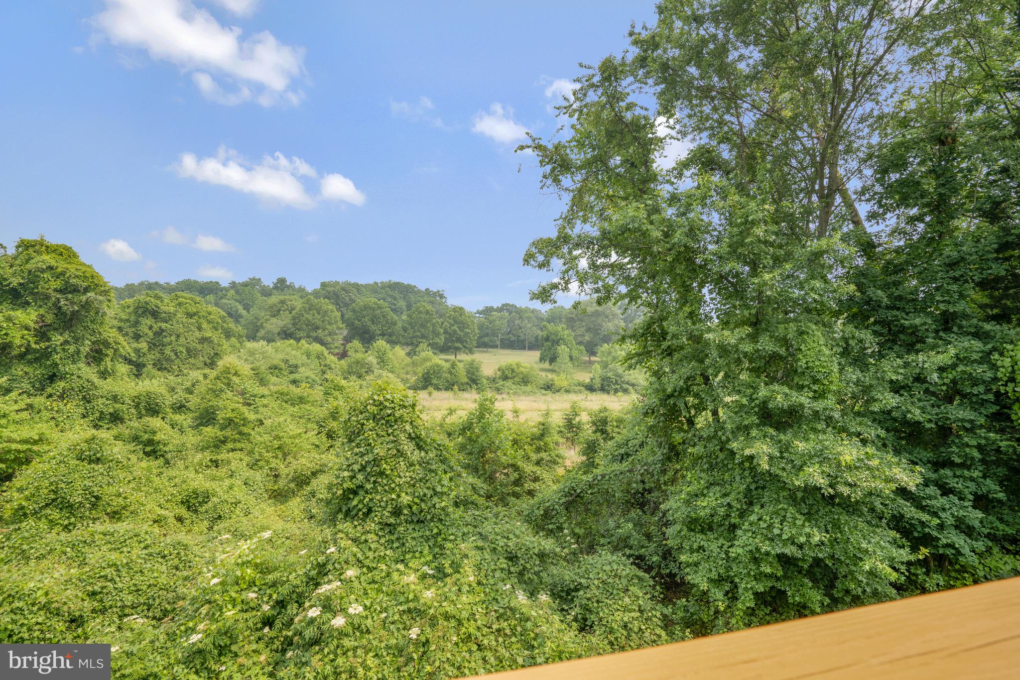 KINGSTOWNE - Residential