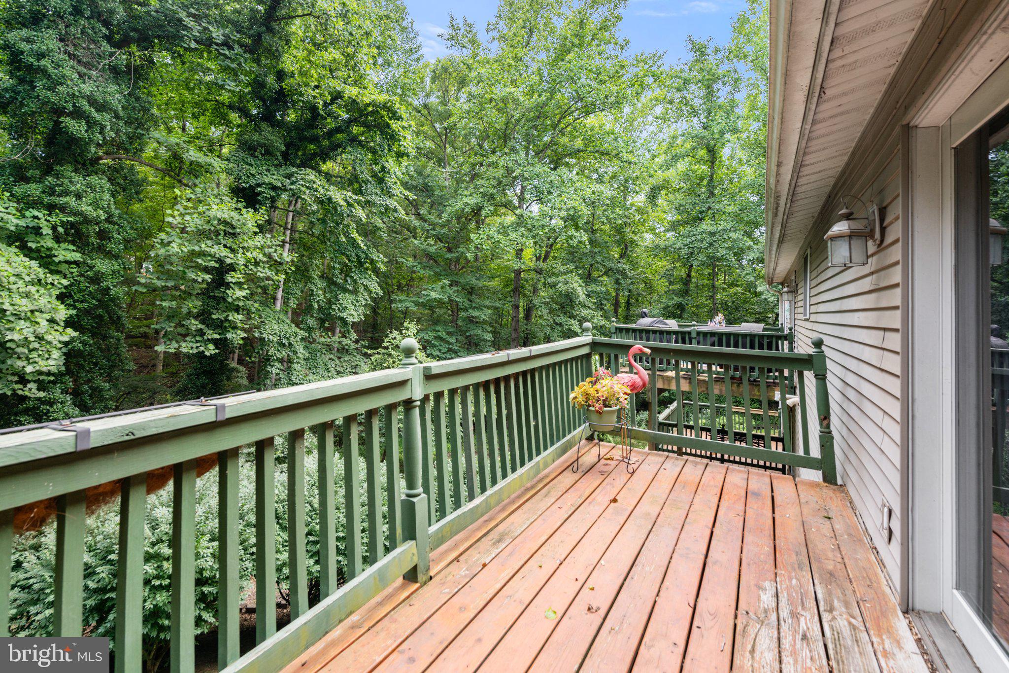 SHEN FARMS MT LAKE - Residential