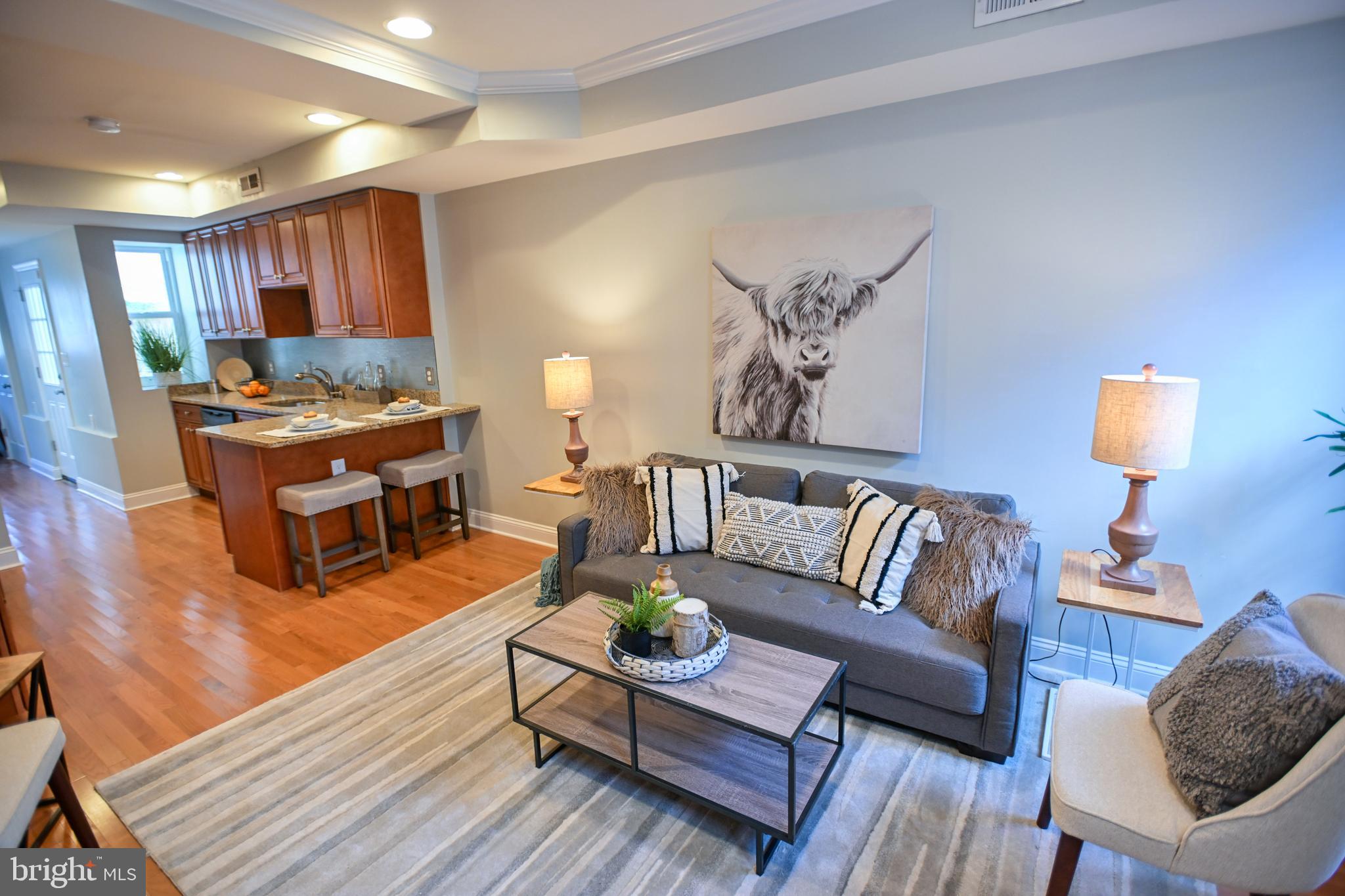 UPPER FELLS POINT - Residential