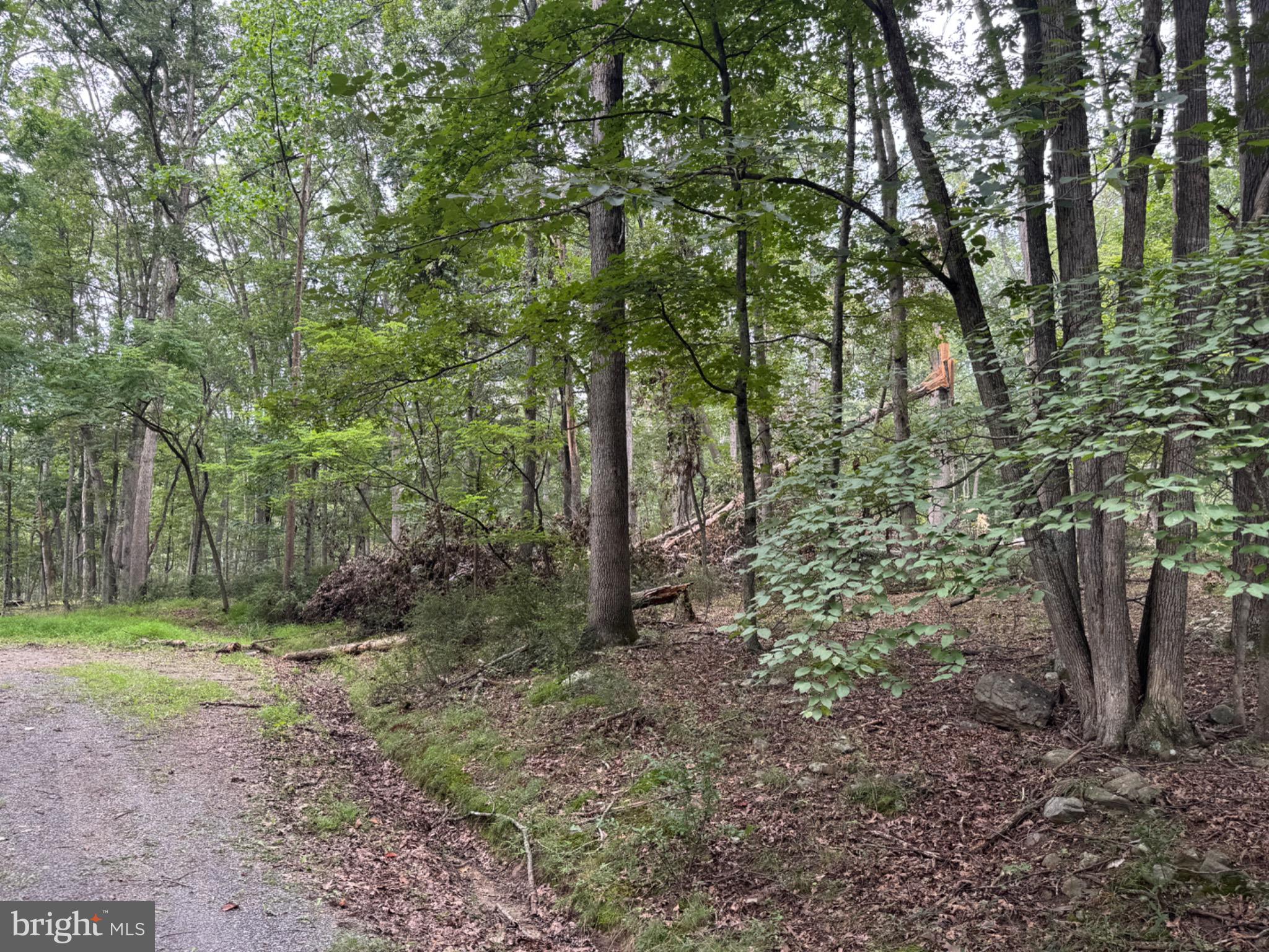 Lot 9 Paradise Road PARADISE ROAD