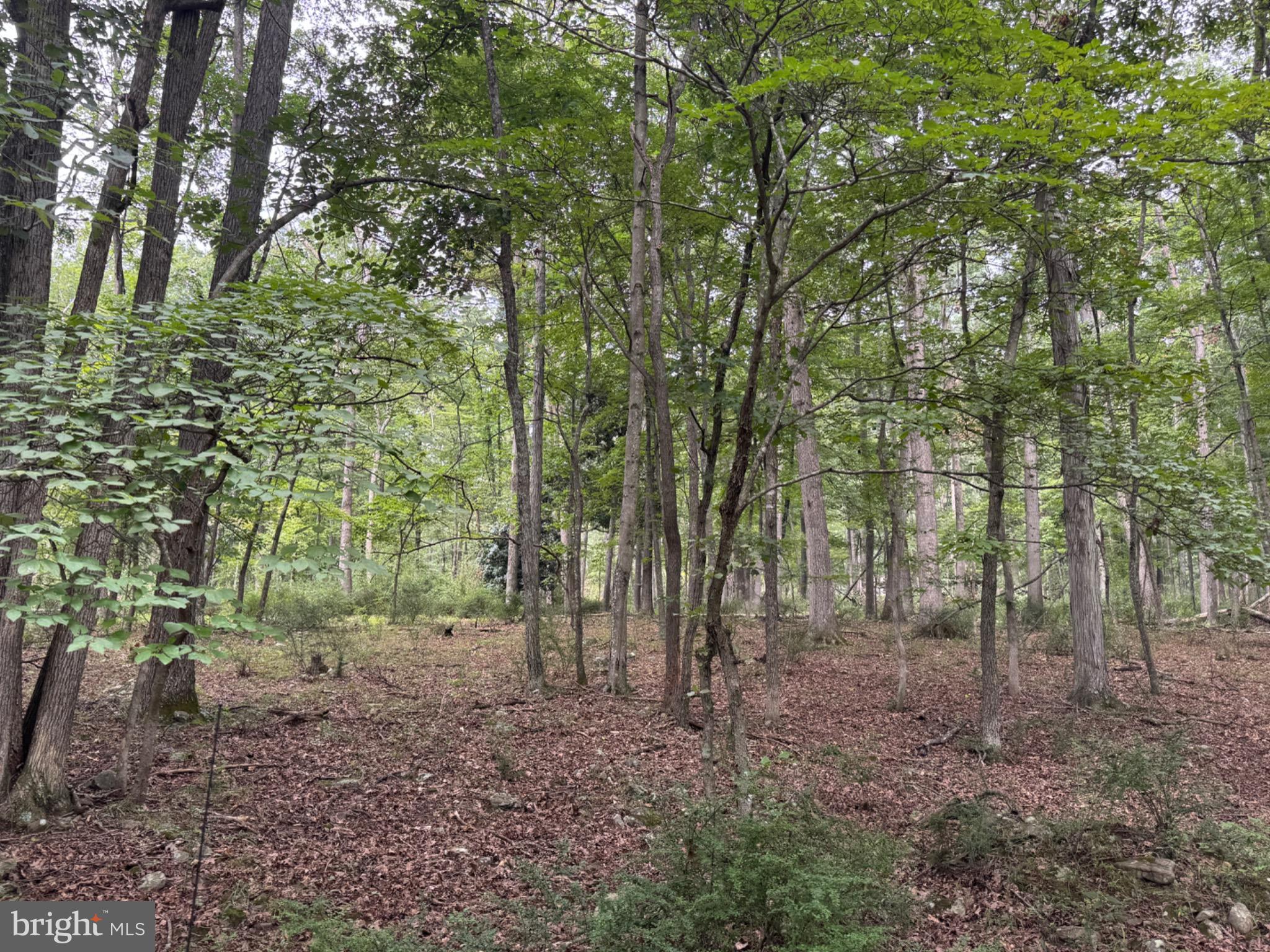 Lot 9 Paradise Road PARADISE ROAD