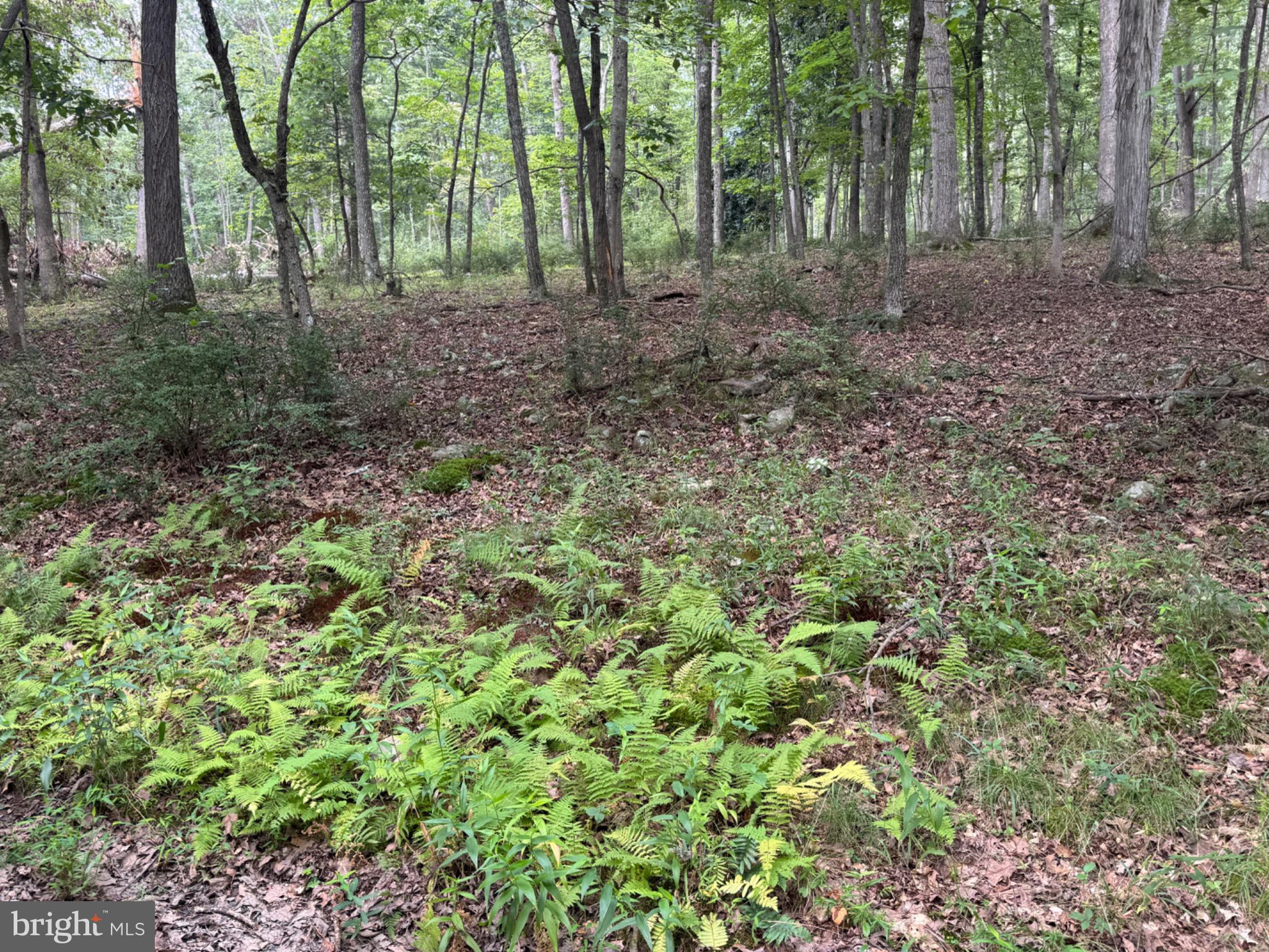 WARDEN LAKE SUBDIVISION - Land