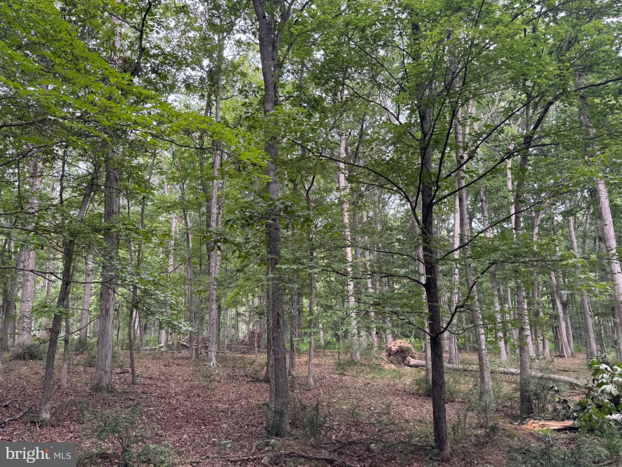 Lot 9 Paradise Road PARADISE ROAD