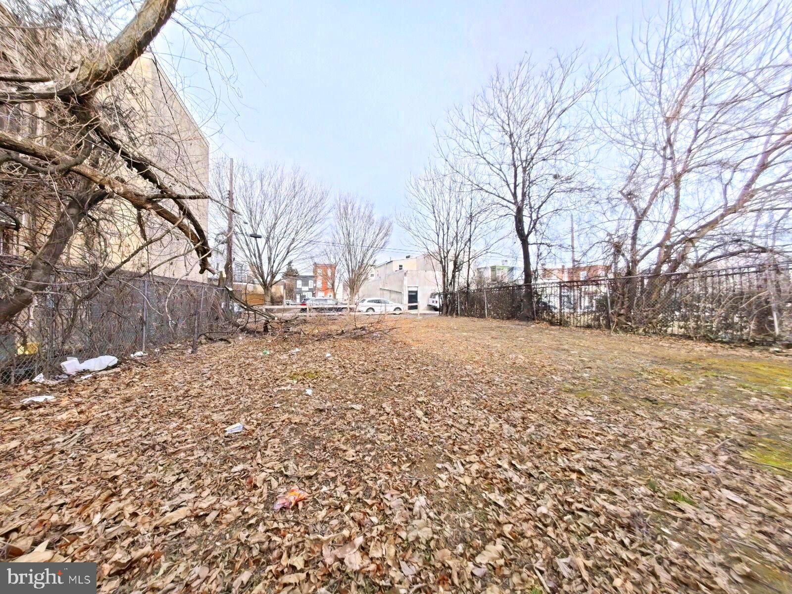 STRAWBERRY MANSION - Land