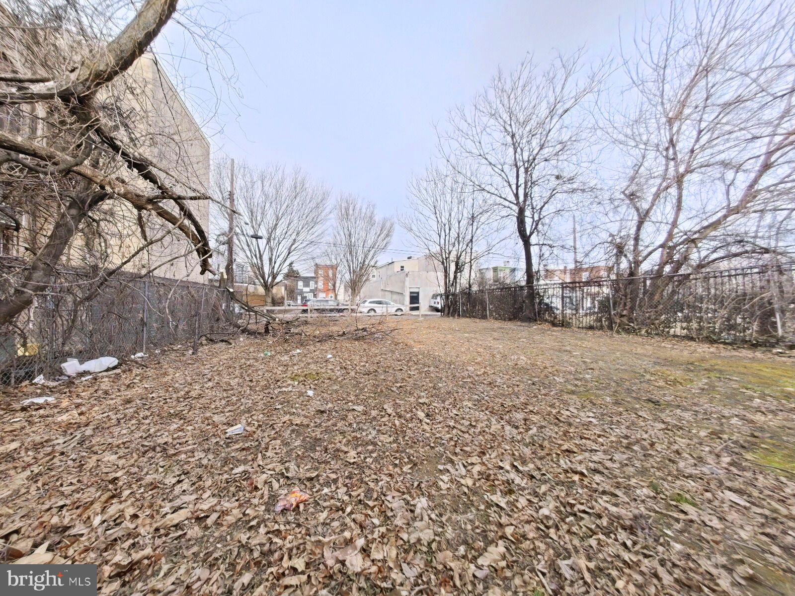 STRAWBERRY MANSION - Land