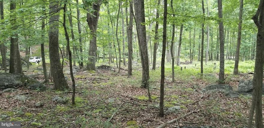 Very nice lot in Ritters Hidden Valley.  Of course, for the annual fee of $400, you have access to all the great amenities that Ritter's offers:   Swimming lake w/beach, playground, tennis court, a fishing lake, roads are maintained.  Ride your ATVs on the gravel roads throughout, with Respect!   Hunting is allowed within state guidelines.   This 5 acre lot is wooded, lays fairly nicely and would make a great building spot.  Close enough to the fishing lake to walk.   You really need to check out the area to appreciate what there is to offer.  Very children friendly.