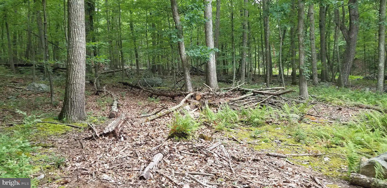 RITTERS HIDDEN VALLEY - Land