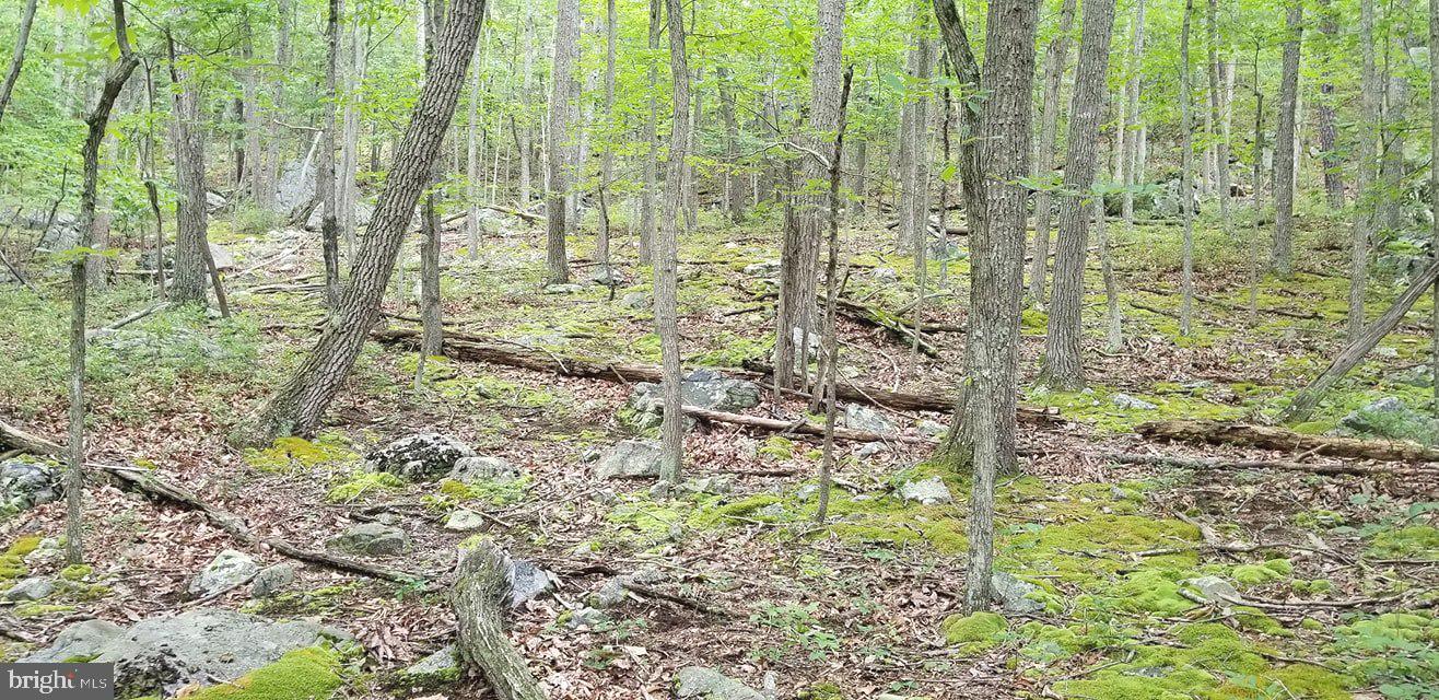 RITTERS HIDDEN VALLEY - Land