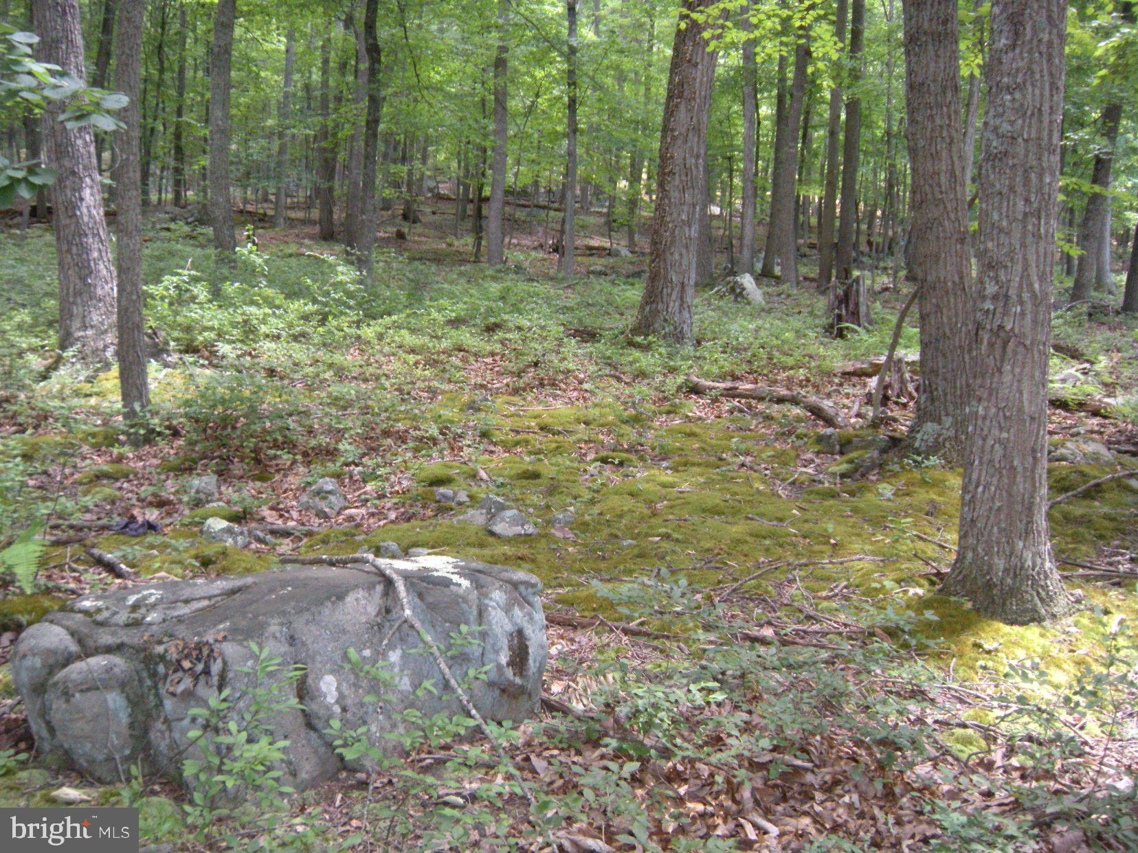 RITTERS HIDDEN VALLEY - Land