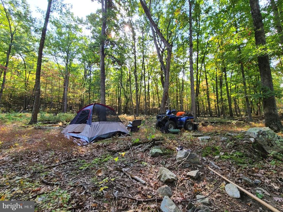 RITTERS HIDDEN VALLEY - Land