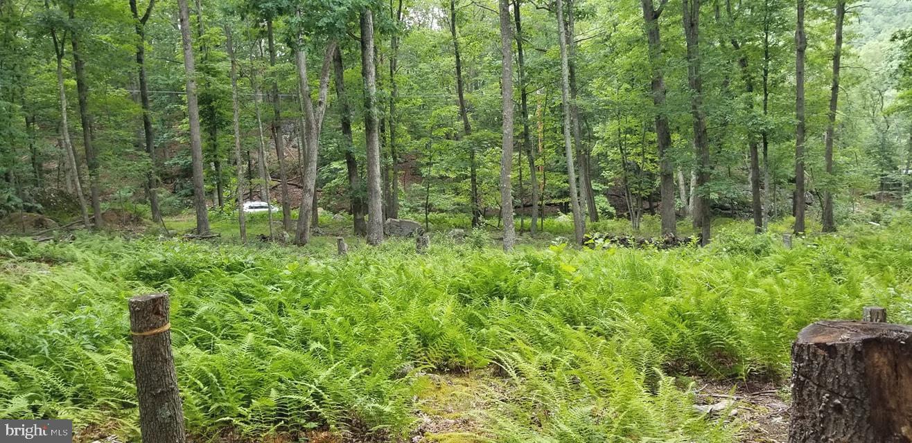 RITTERS HIDDEN VALLEY - Land