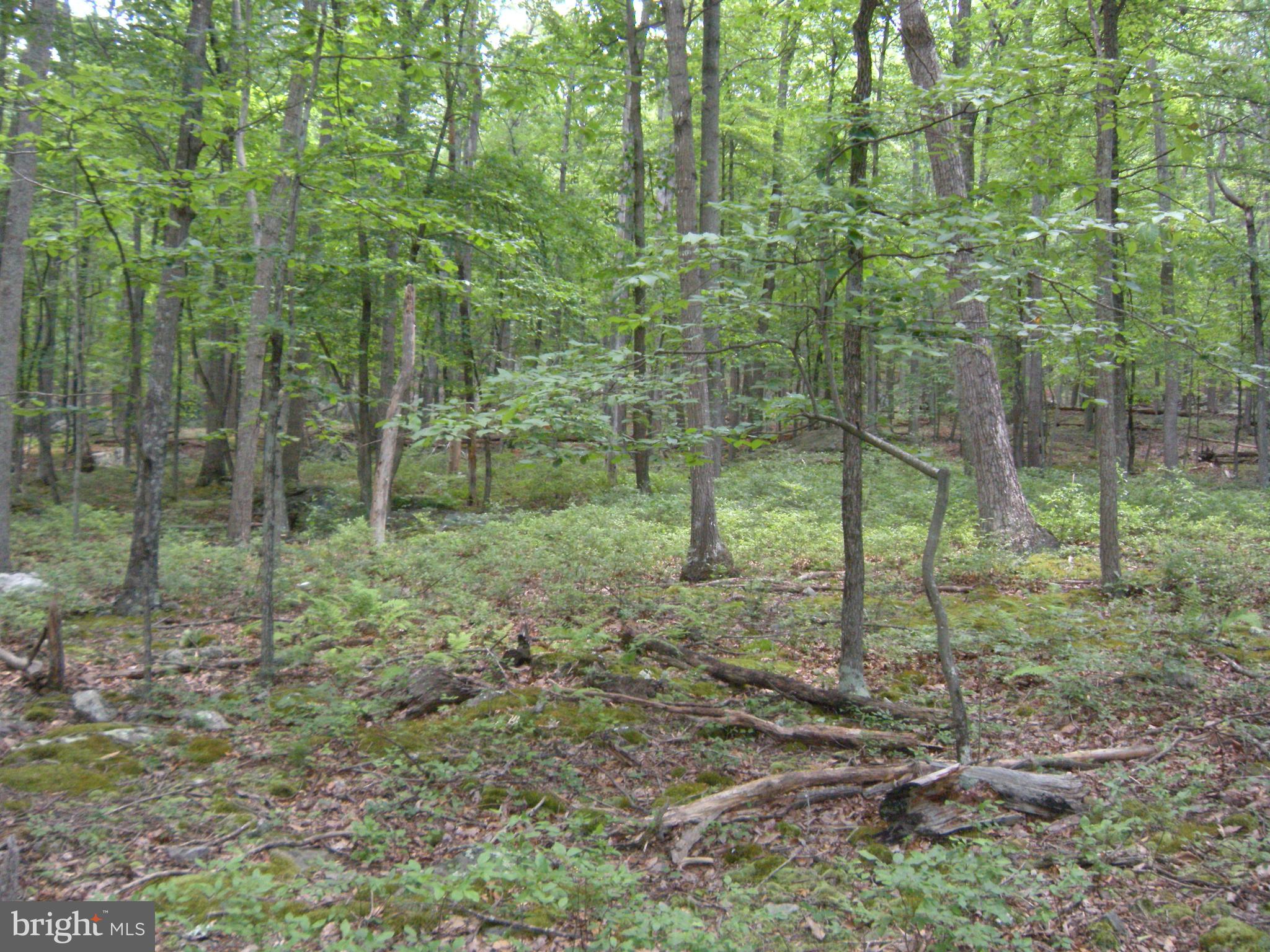 RITTERS HIDDEN VALLEY - Land