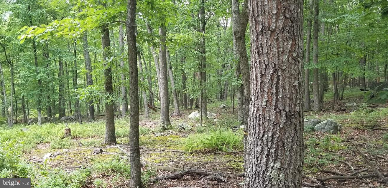 RITTERS HIDDEN VALLEY - Land