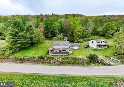 Homes For Sale - 1315 First Fork Road<br/> Potter County, AUSTIN, PA 16720