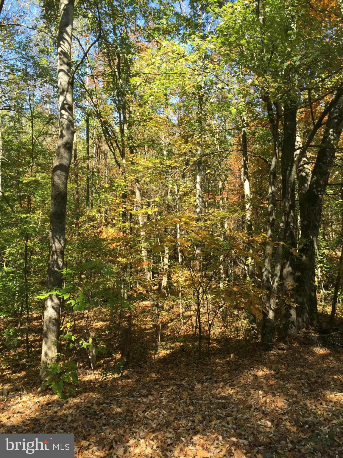 LAKE WILDERNESS - Land