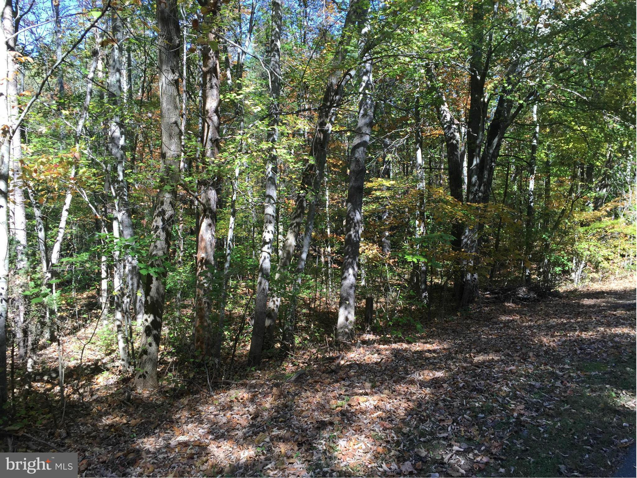 LAKE WILDERNESS - Land