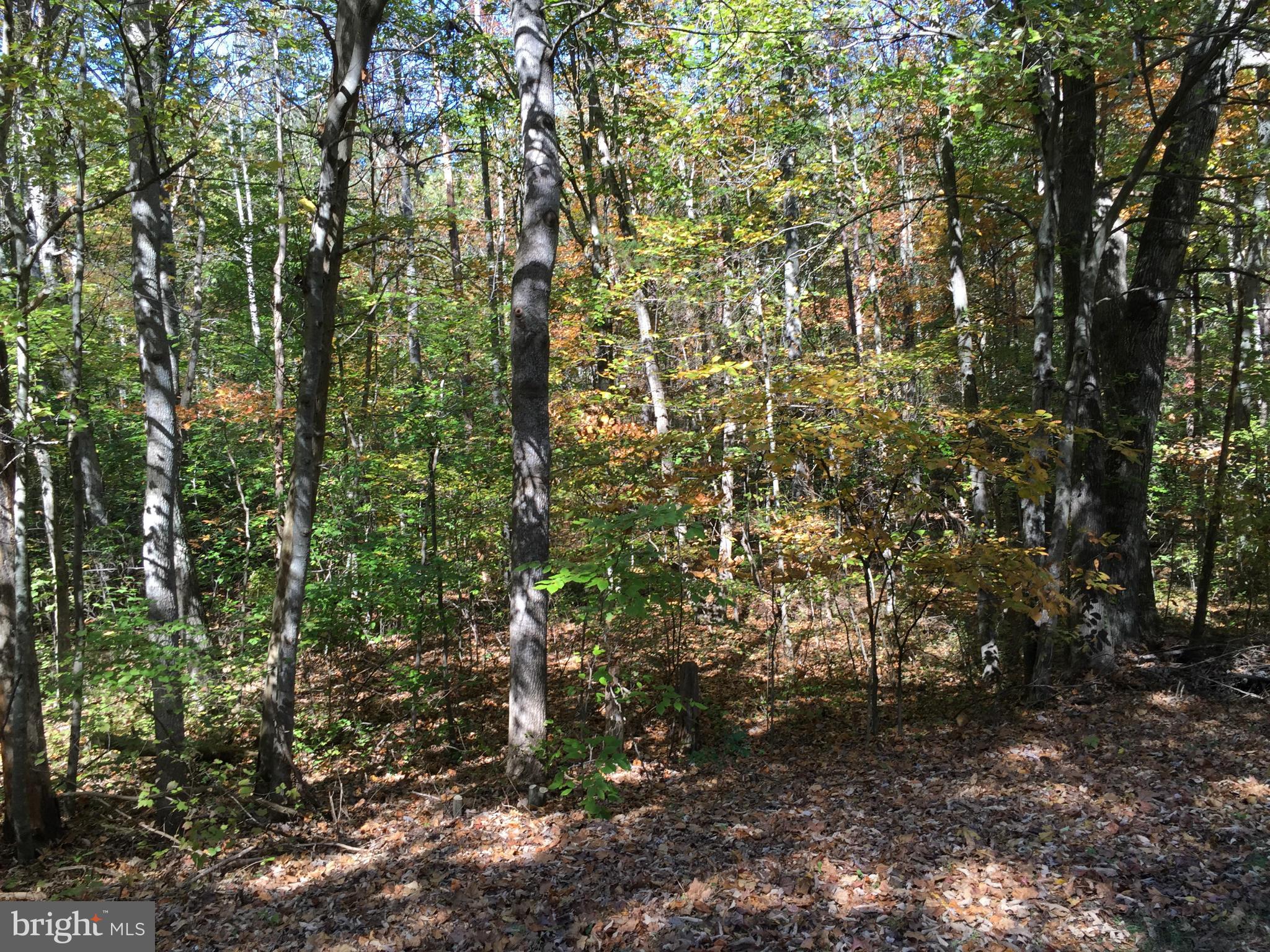 LAKE WILDERNESS - Land