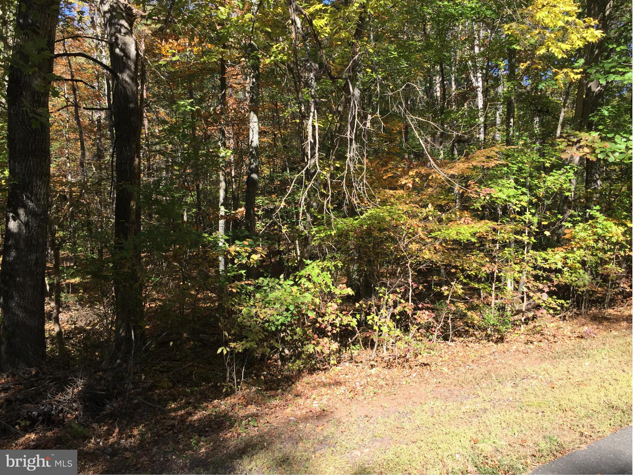 LAKE WILDERNESS - Land