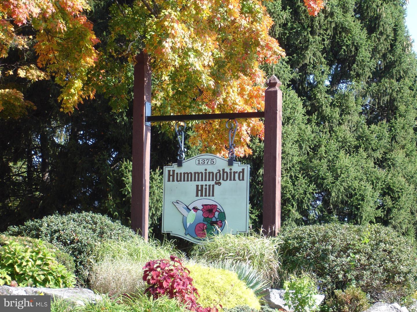 HUMMINGBIRD HILL - Residential