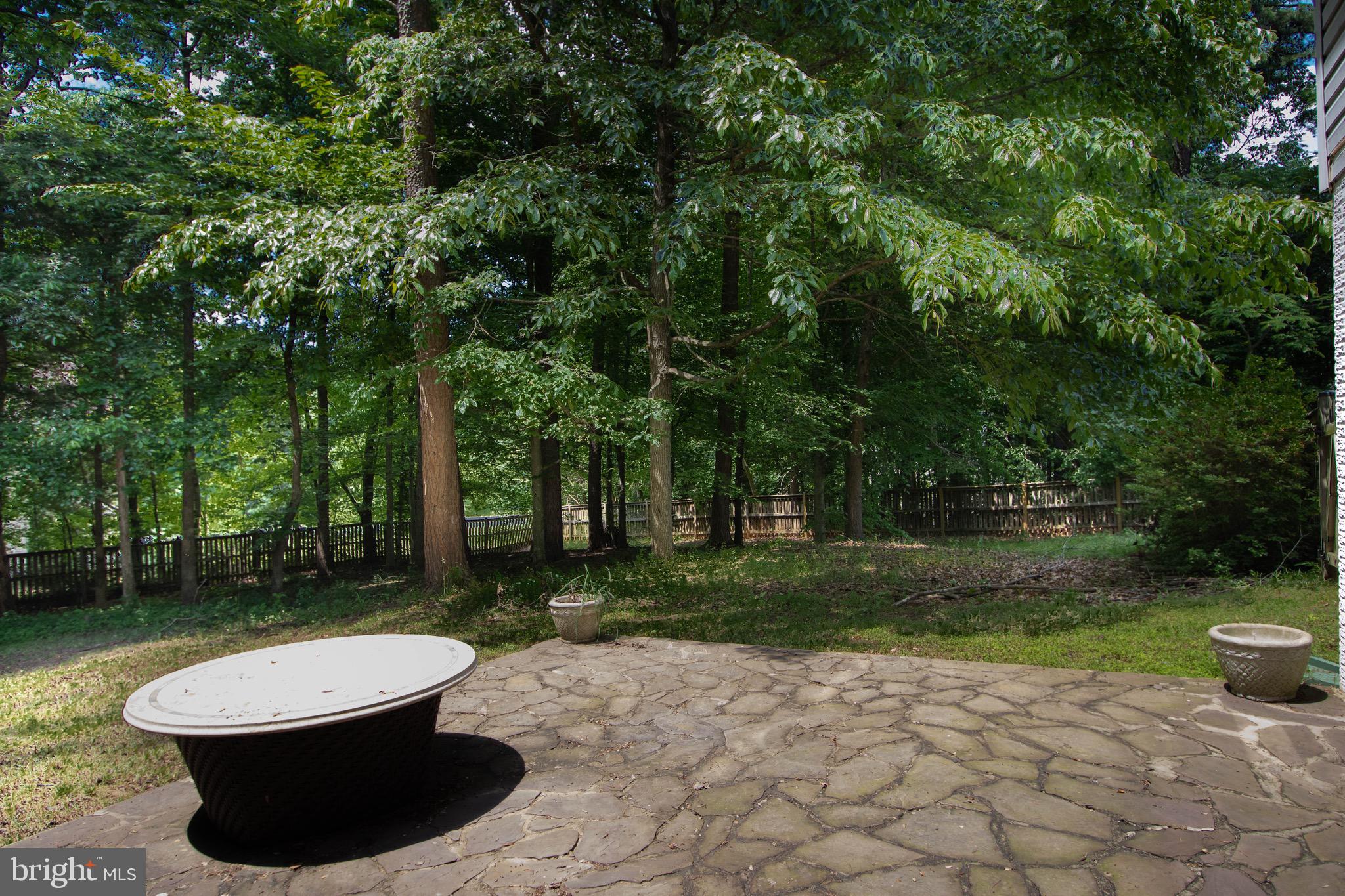 13076 DOVE TREE COURT