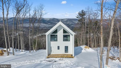 4101 SUPINLICK RIDGE RD MOUNT JACKSON VA 22842