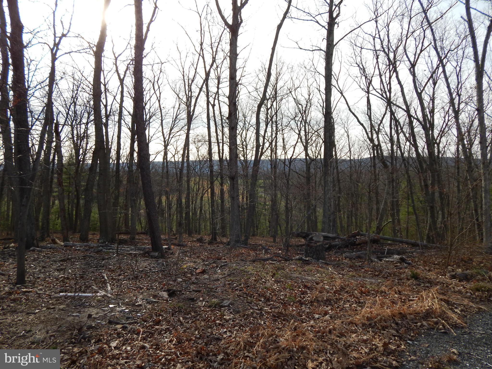 MT. TABOR ASSOCIATION - Land