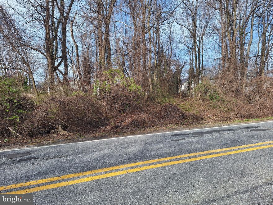 Single Family building lot. Recorded. Must be sold with lot next door at 1009 Rollins Ave. Settlement to be done at Title Max.