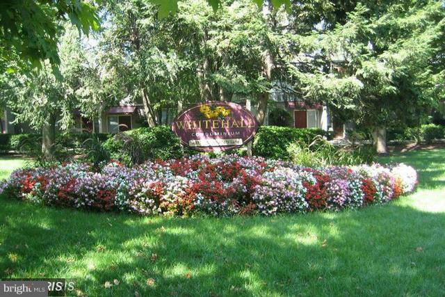 WHITEHALL - Residential