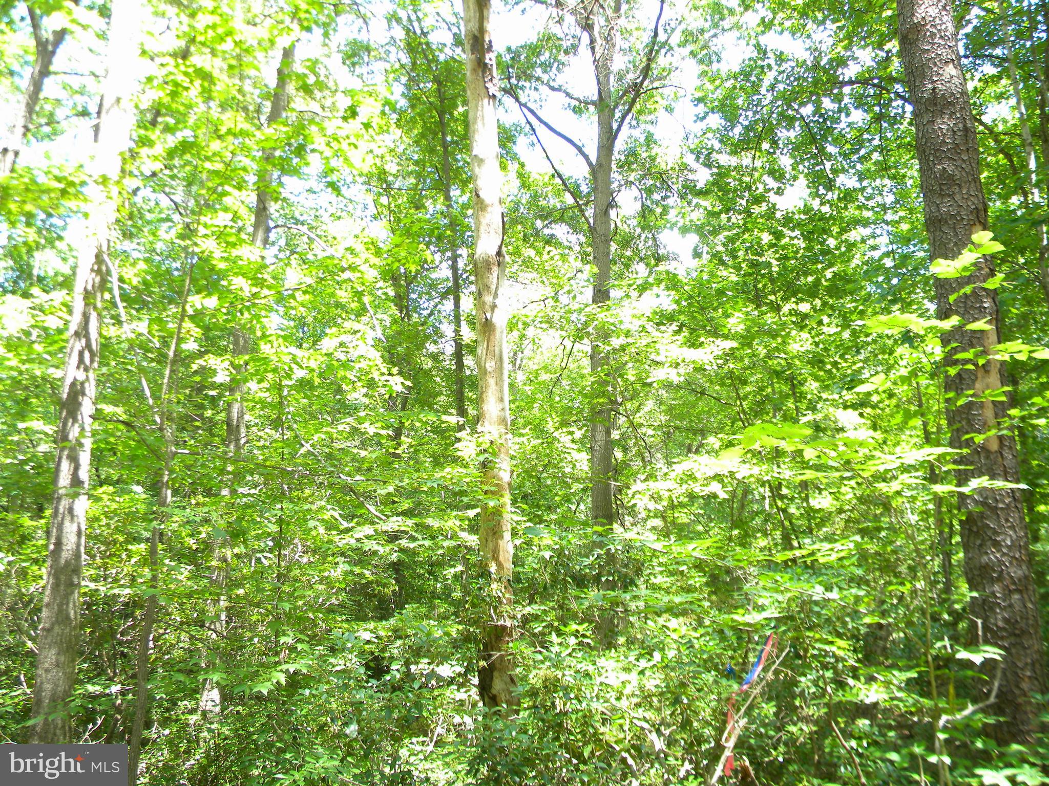 BEAVER LODGE ESTATES - Land