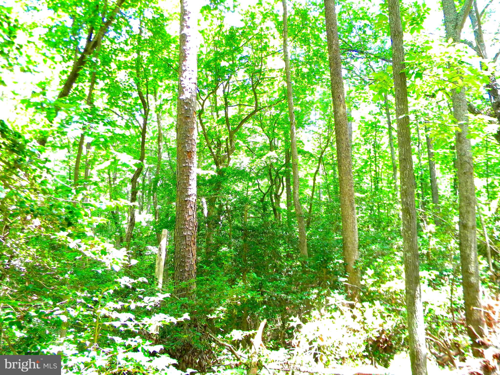 BEAVER LODGE ESTATES - Land