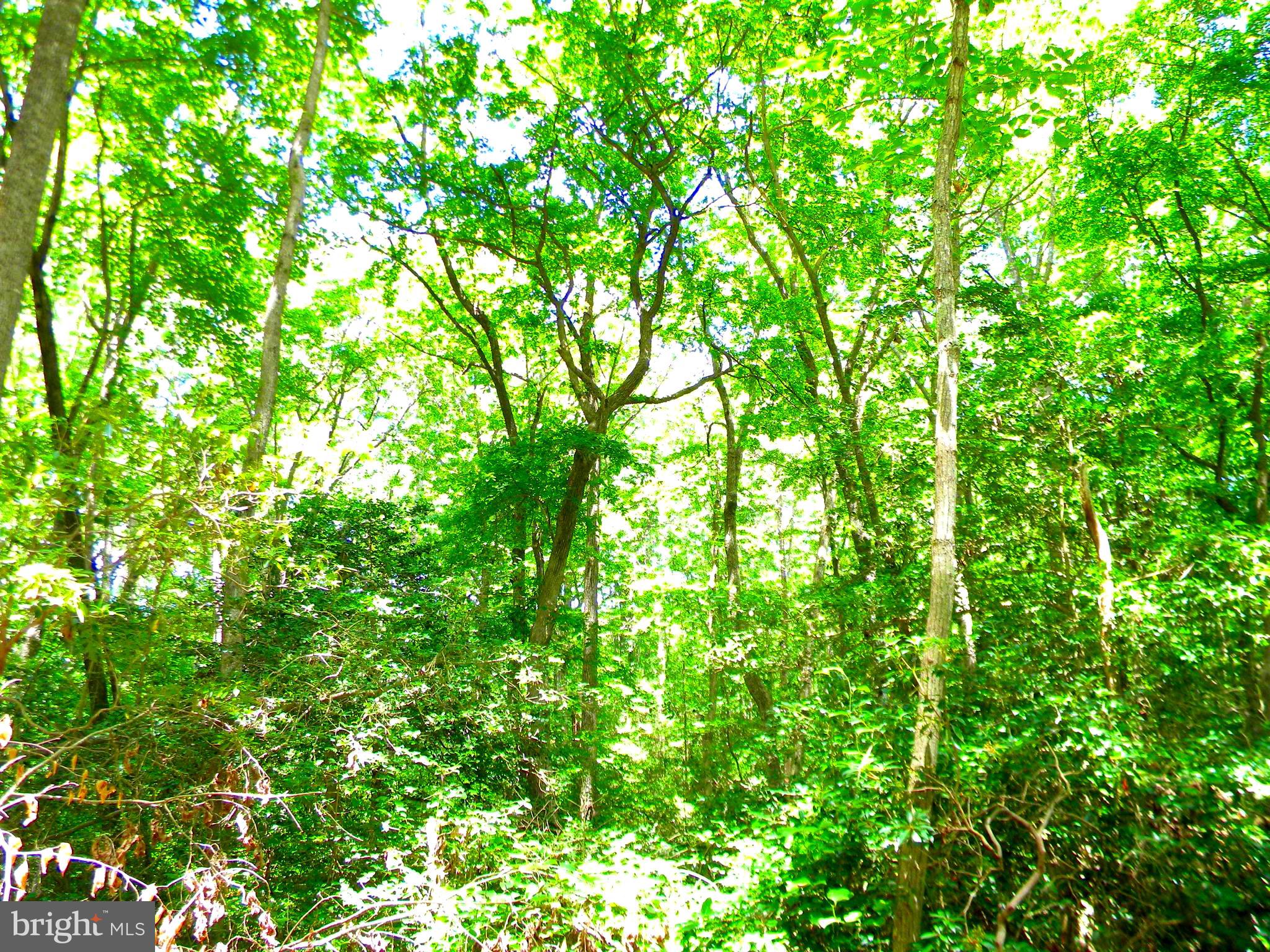 BEAVER LODGE ESTATES - Land