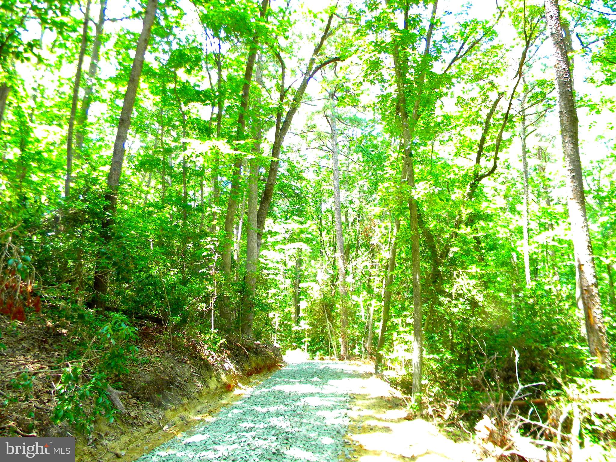 BEAVER LODGE ESTATES - Land