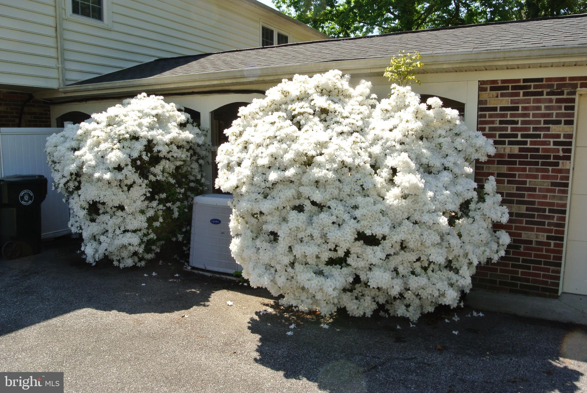 CLARKS RUN - Residential