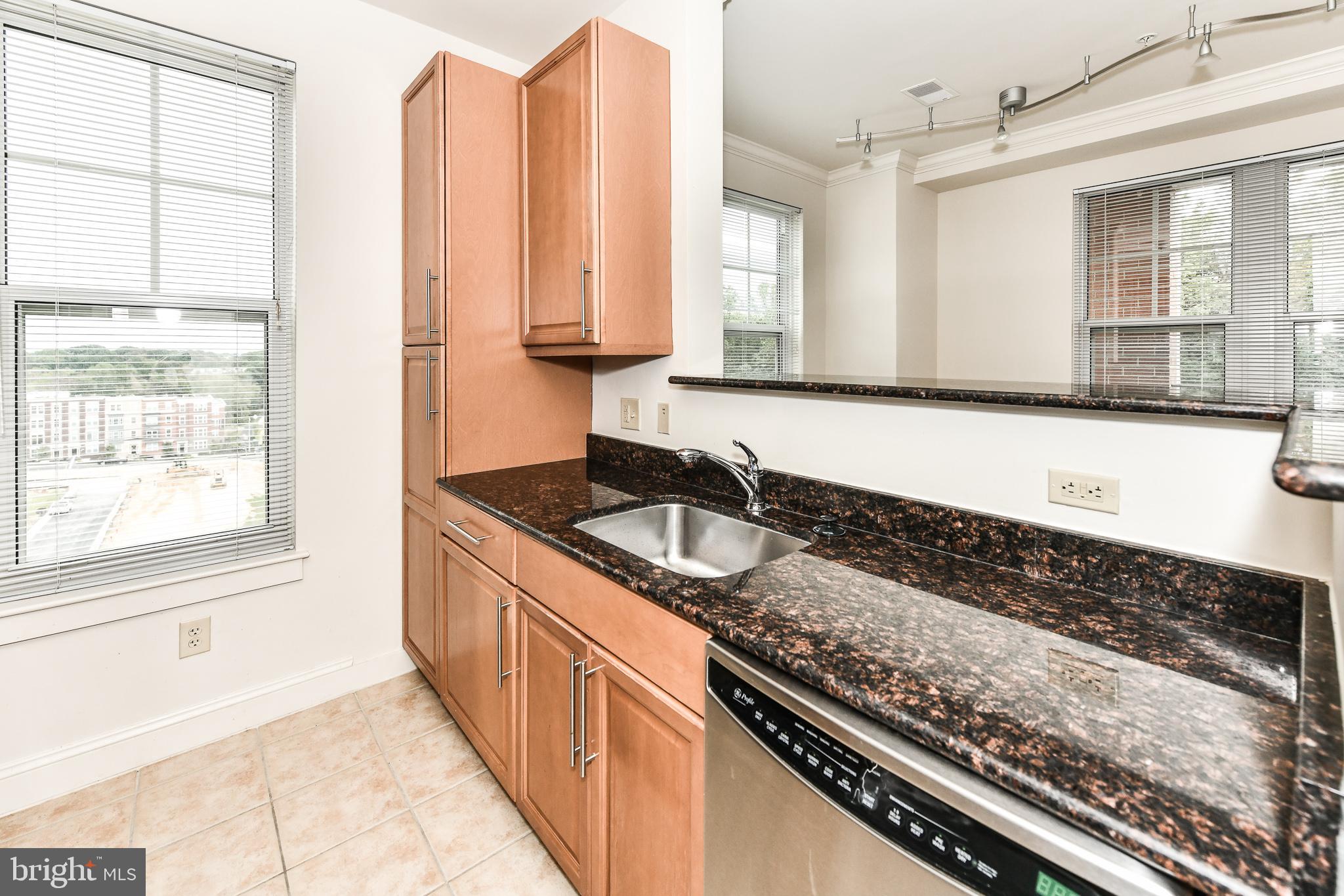 11770 SUNRISE VALLEY DRIVE 421