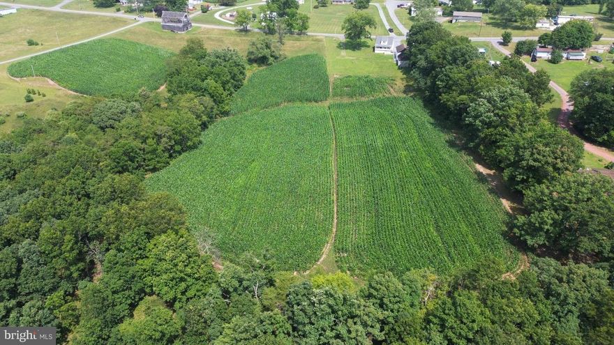 10 acres of open and partially wooded land with road frontage, ready for your dream home or private retreat. Bring your horses and create a farmette. Enjoy the perfect mix of open space and natural beauty. Public sewer access may be available—buyer to verify. A great opportunity for those seeking country living with convenience!