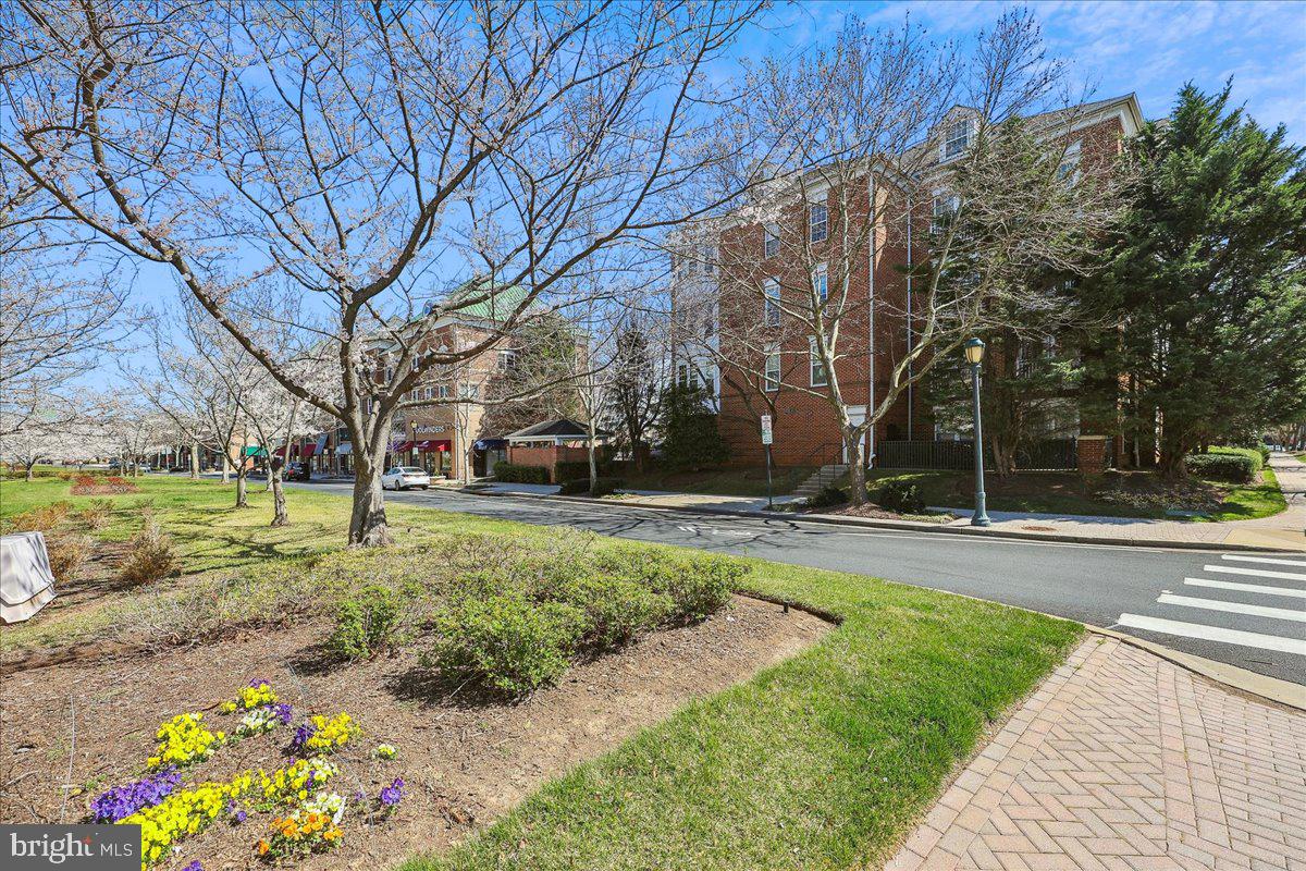 KING FARM - Residential