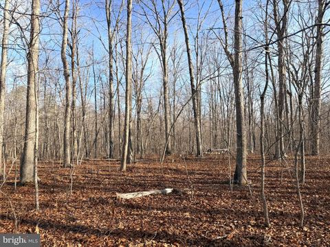 Vacant Land For Sale - R/w Off Justice Drive<br/> Orange County, ORANGE, VA 22960