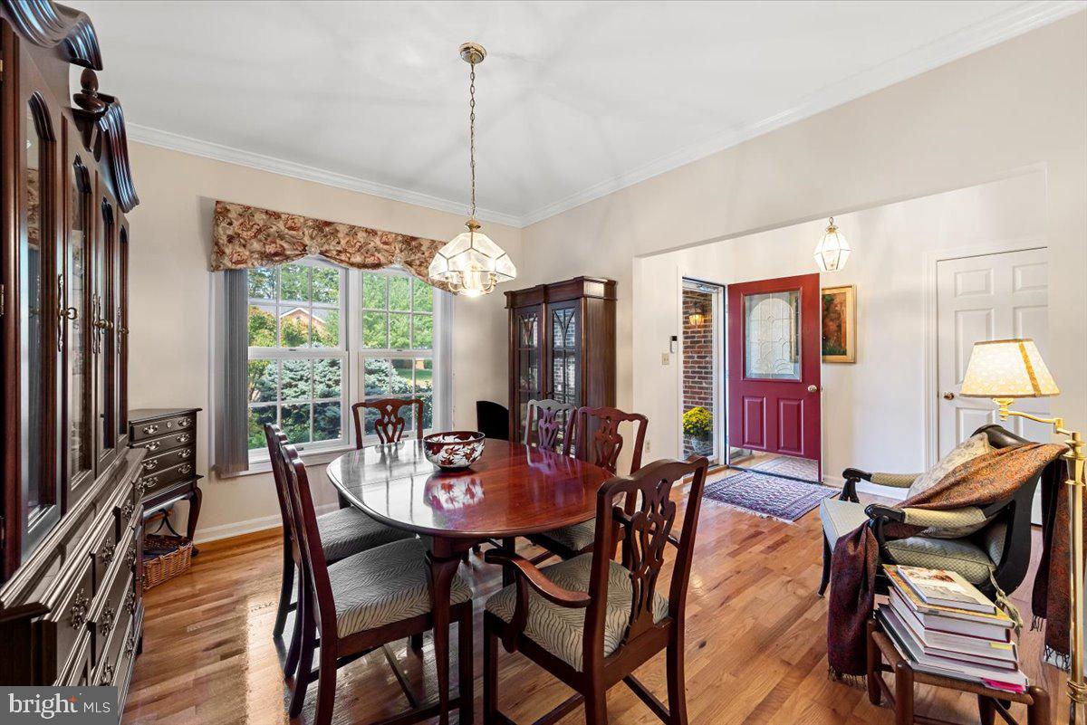 THE DOWNS AT MEADOWBRANCH - Residential