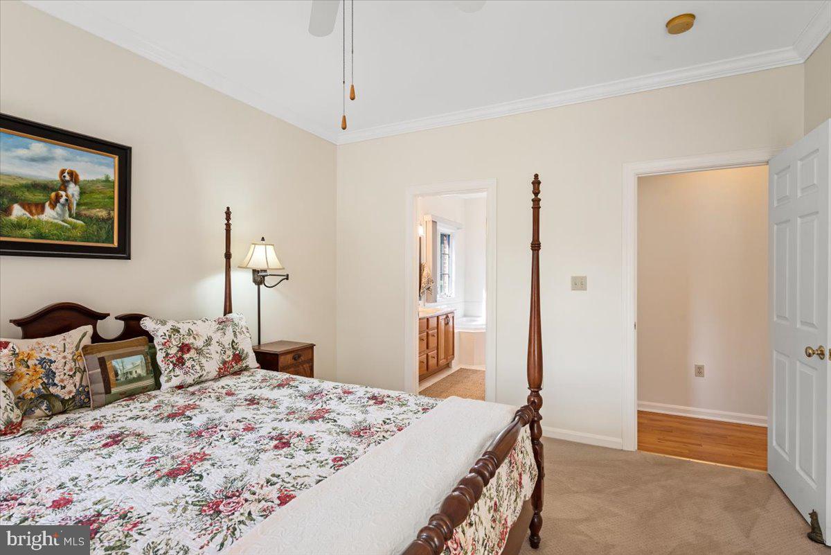 THE DOWNS AT MEADOWBRANCH - Residential