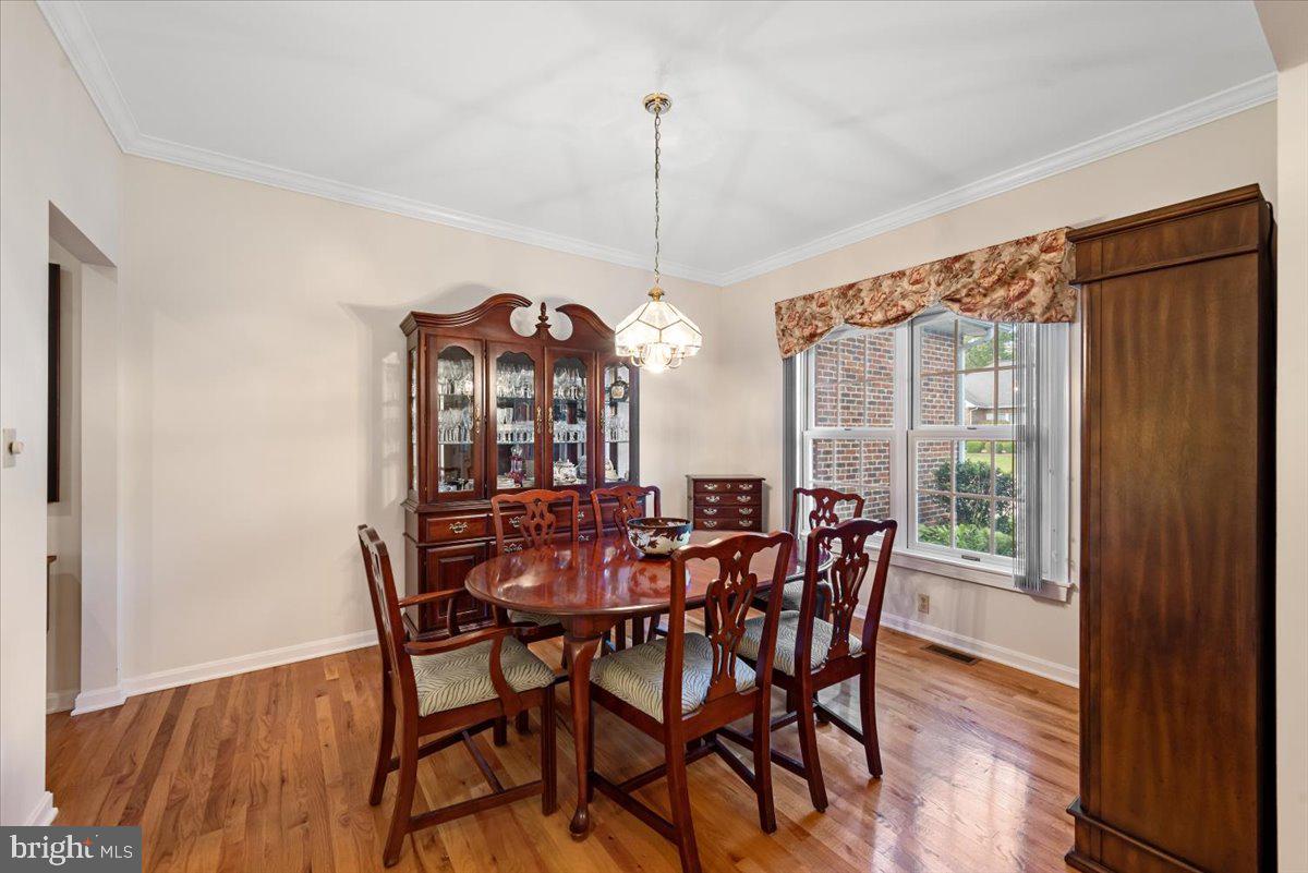 THE DOWNS AT MEADOWBRANCH - Residential