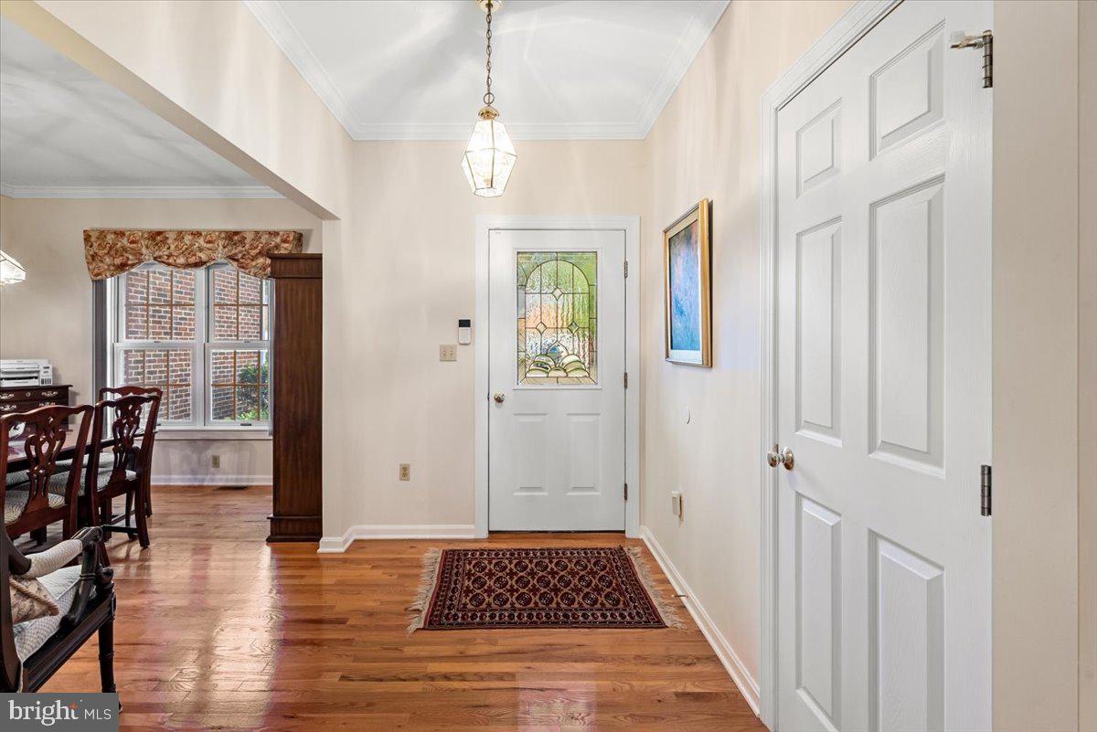 THE DOWNS AT MEADOWBRANCH - Residential