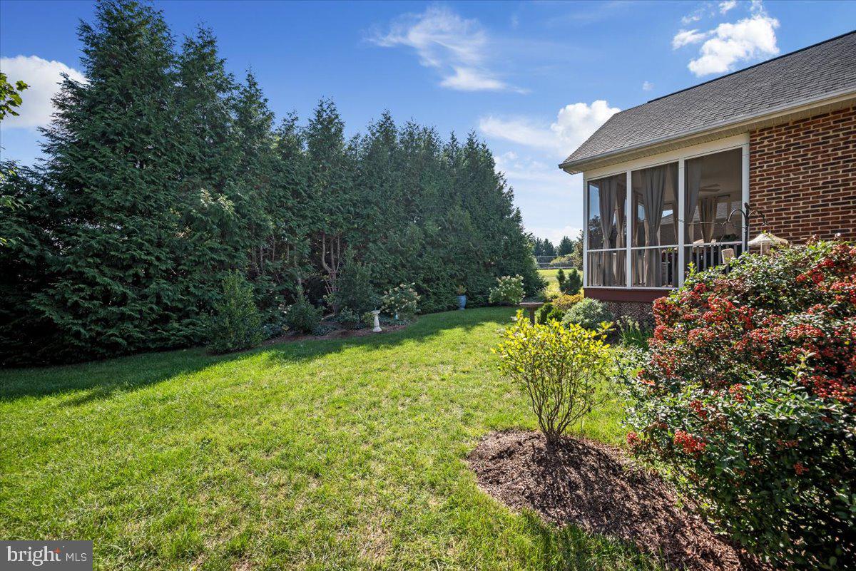 THE DOWNS AT MEADOWBRANCH - Residential