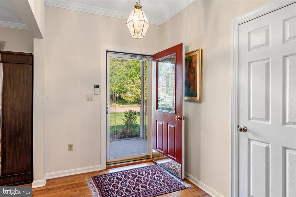 THE DOWNS AT MEADOWBRANCH - Residential